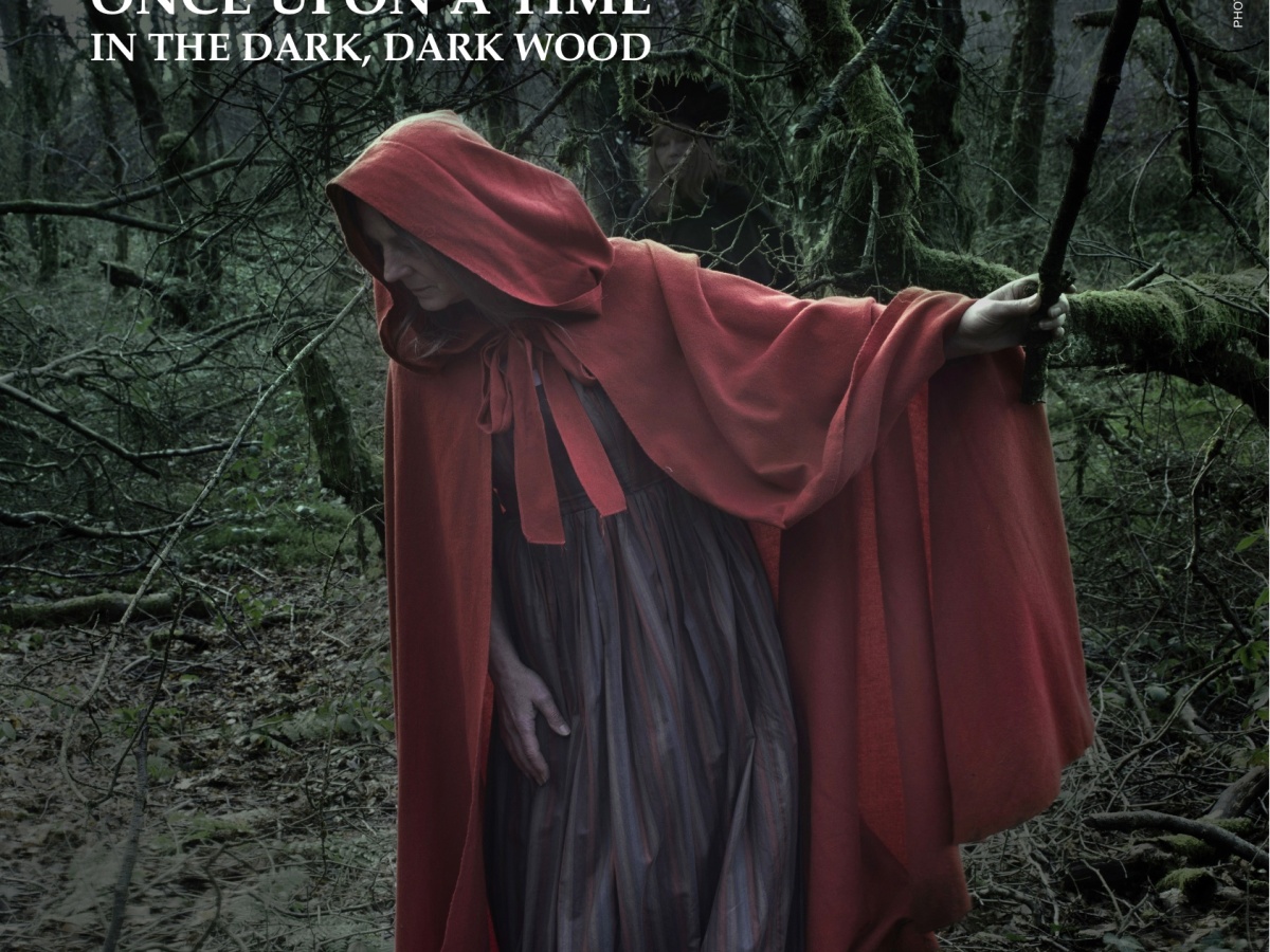 Once Upon A Time in the Dark, Dark Wood