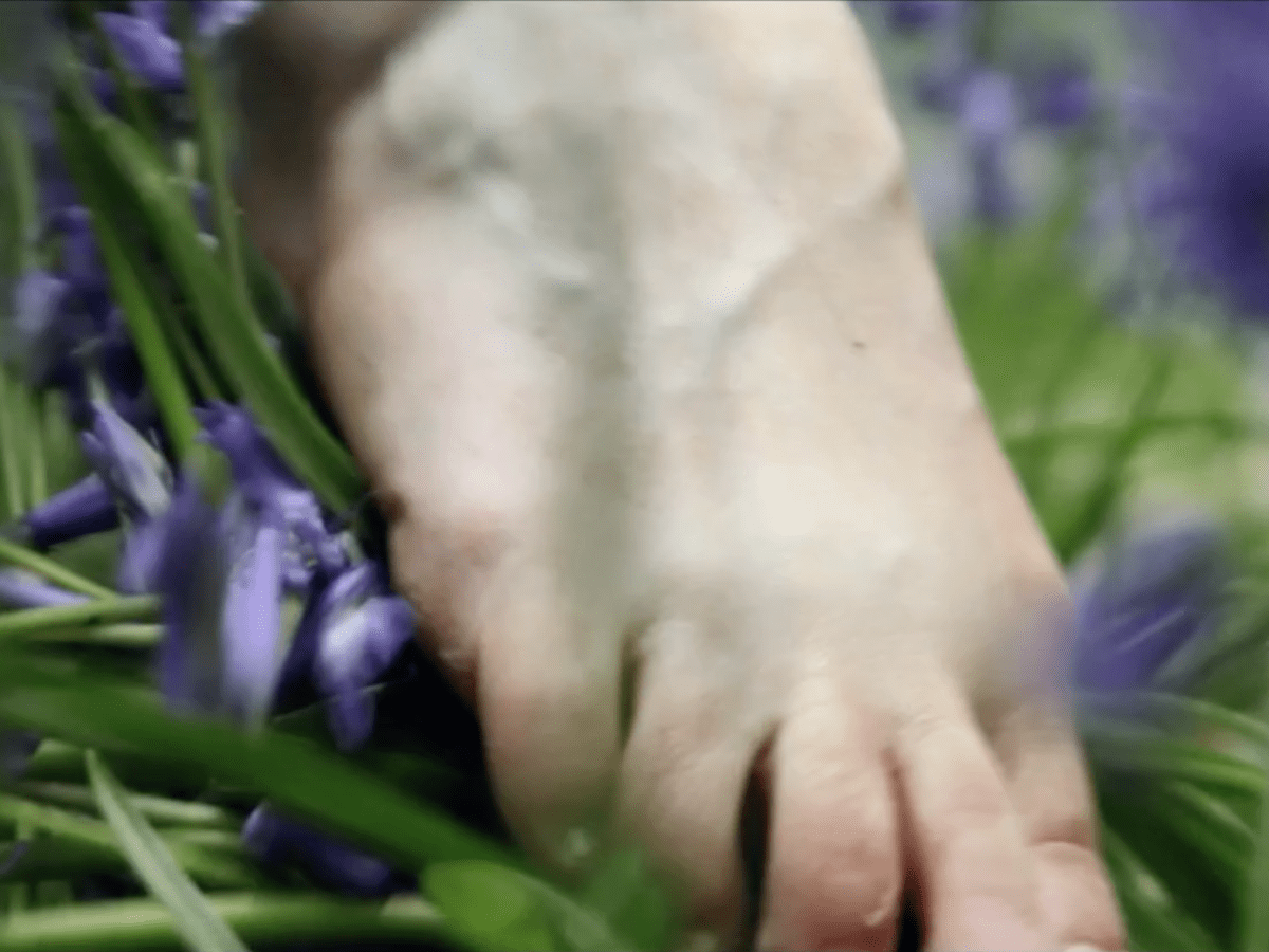 Gwanwyn Festival Funding for May&nbsp;2018